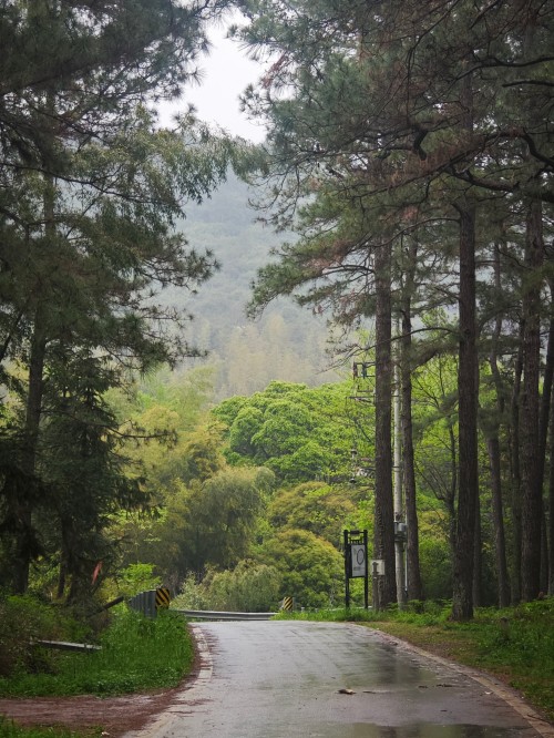 Explore Wufeng, Green Power for Chuangli Chuangli Group Successfully Holds 2026 Spring Hiking Event(圖2) Explore Wufeng, Green Power for Chuangli Chuangli Group Successfully Holds 2026 Spring Hiking Event(圖2)