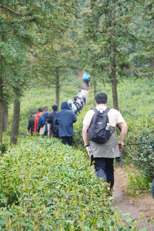 微信圖片_20260413095652_215_84.jpg Explore Wufeng, Green Power for Chuangli Chuangli Group Successfully Holds 2026 Spring Hiking Event(圖7)